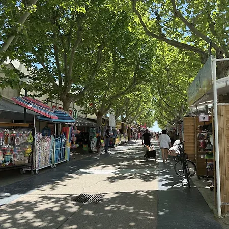 Sol-y-days Martinic, Rez-de-jardin A Deux Pas Des Plages * La Grande Motte